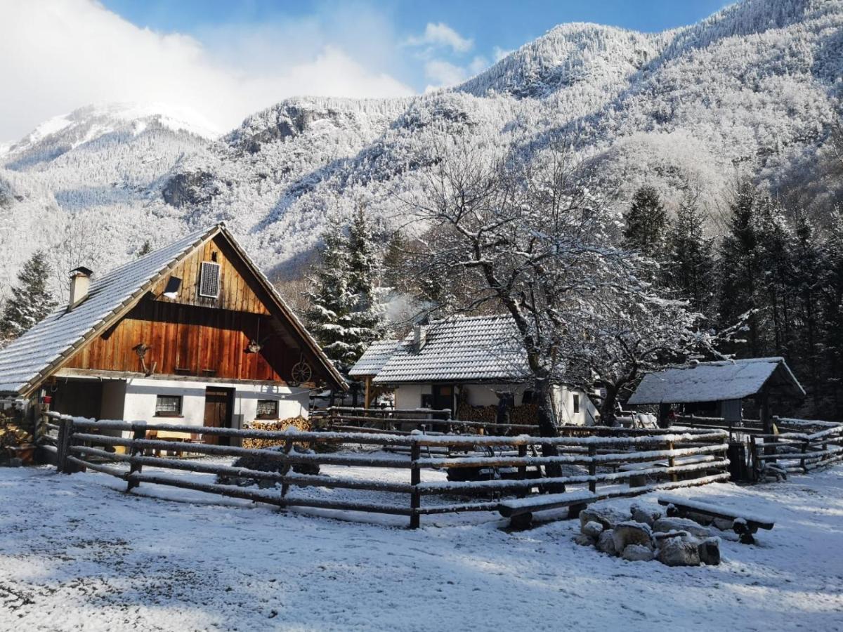 Lizina Hiska House Bohinj Villa Bohinjska Bistrica Exterior photo
