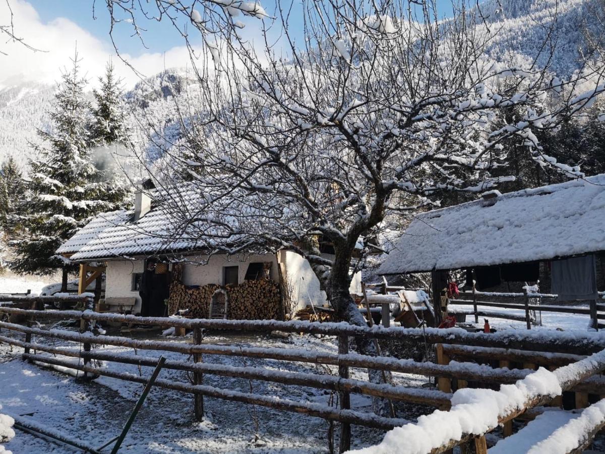Lizina Hiska House Bohinj Villa Bohinjska Bistrica Exterior photo
