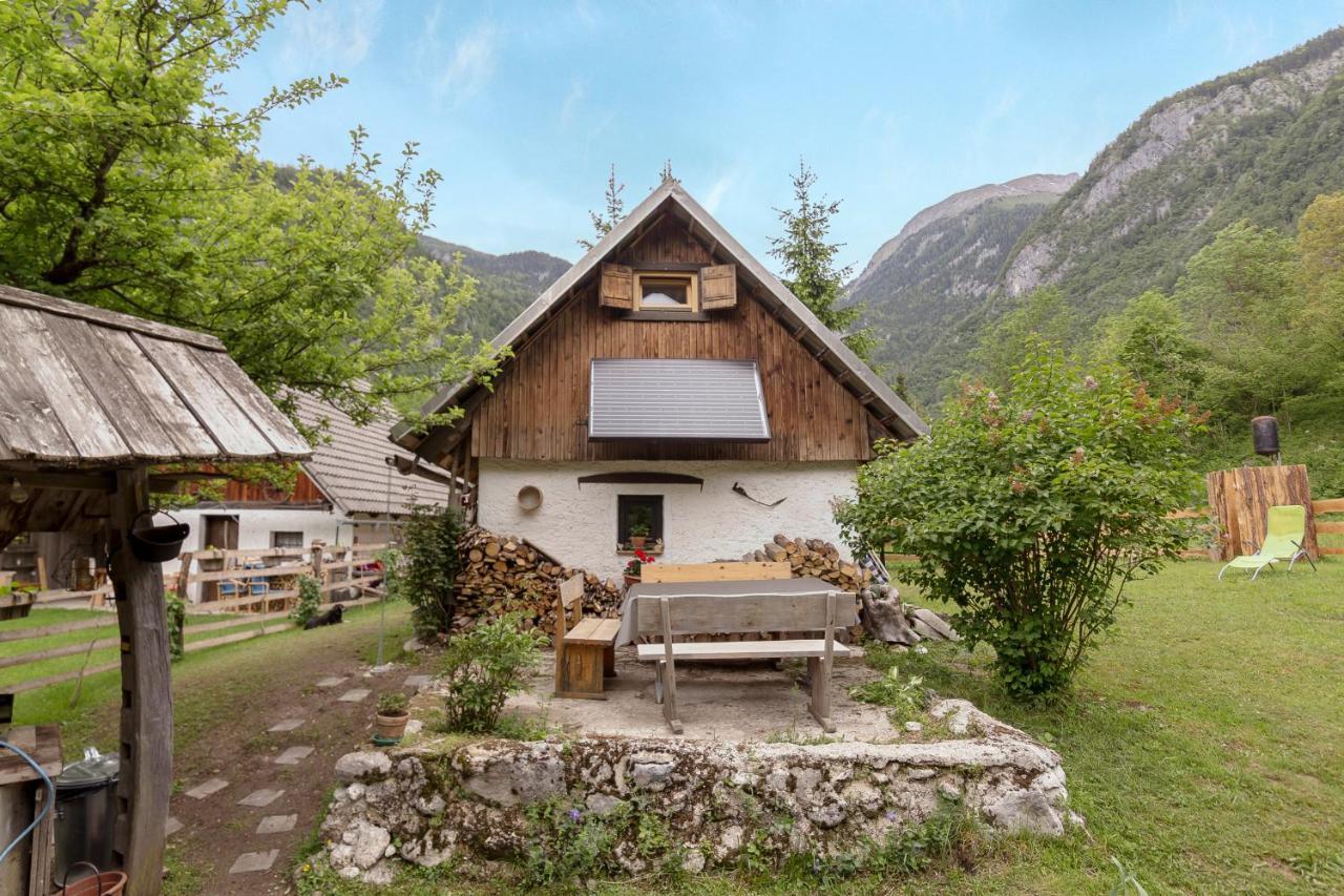 Lizina Hiska House Bohinj Villa Bohinjska Bistrica Exterior photo
