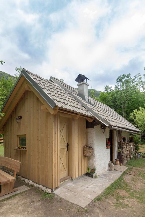 Lizina Hiska House Bohinj Villa Bohinjska Bistrica Exterior photo